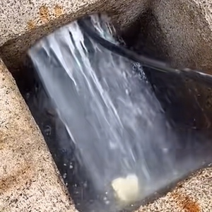 中環區．連鎖西餐廳