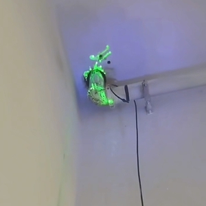 太古城．海景花園