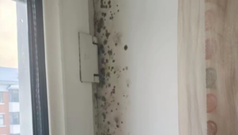 WhatsApp 影像初診