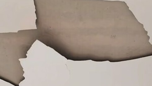 WhatsApp 數碼報價