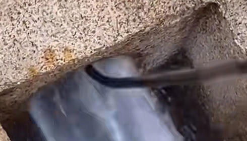 CCTV 驗收與交付