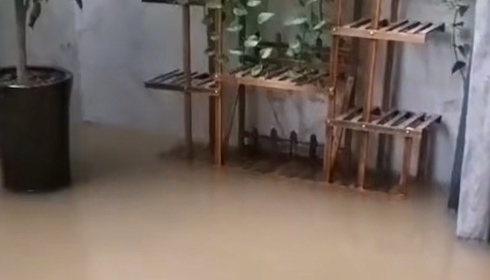 WhatsApp 緊急分流