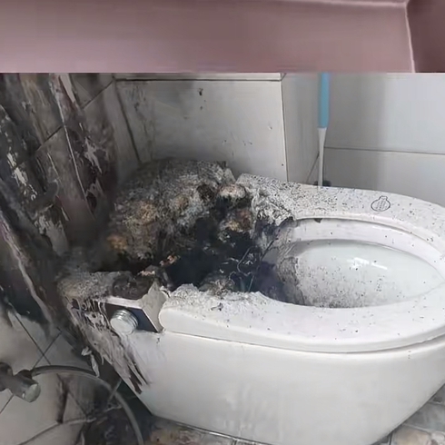 淘寶智能馬桶三大致命風險